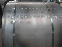 hp295